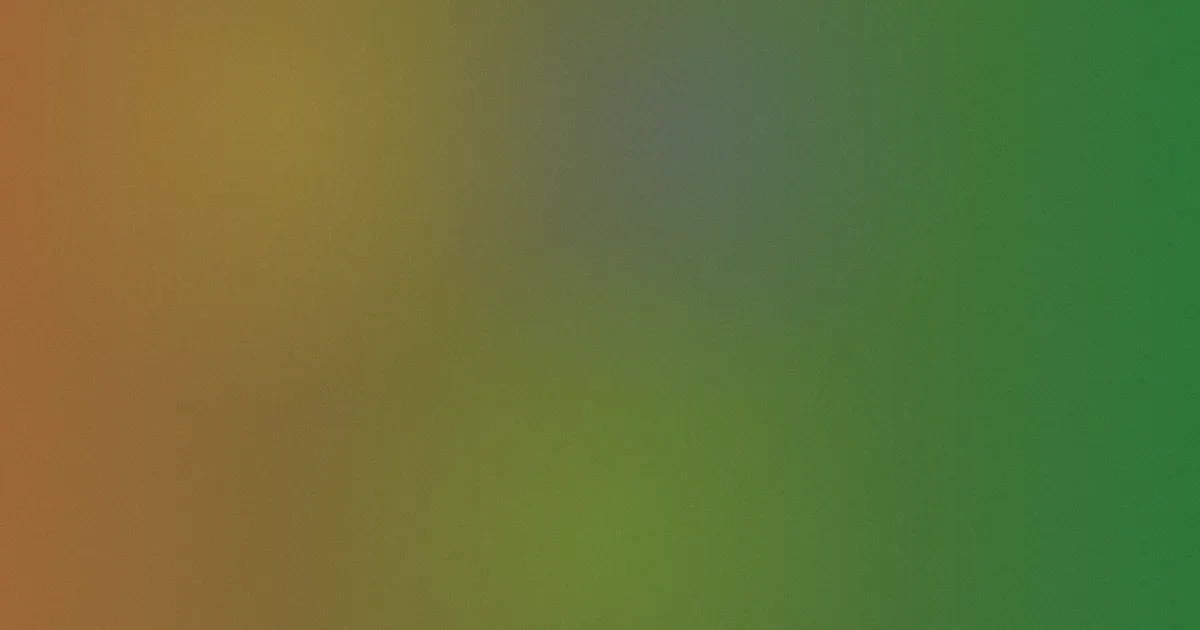 识骨寻踪第一季怎么用：四种看法实测